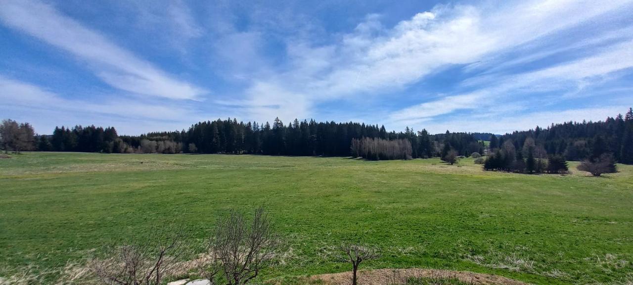 Apartman V Jame Černá v Pošumaví Exterior foto
